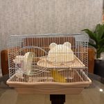 Hamster Cage - Image 8