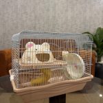 Hamster Cage