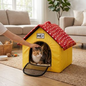 Cartoon Design With Zip Cat House